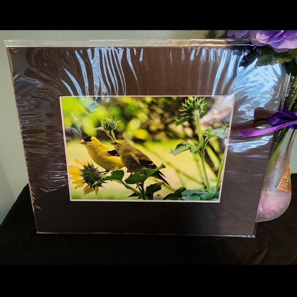 2/$13 American Goldfinch Couple Photography Print with Black Matte Frame